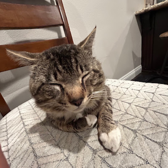 Meet your Posher, Ian - Picture 1 of 1